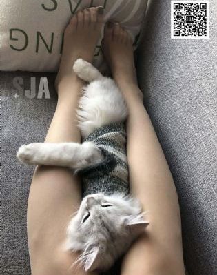 女体拷问sm一区二区_高清完整视频观看